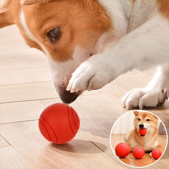 🏐 Découvrez nos balles pour chien ultra-résistantes en TPR. Conçues pour toutes les tailles, elles stimulent votre compagnon et préservent vos meubles !