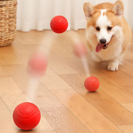 🏐 Découvrez nos balles pour chien ultra-résistantes en TPR. Conçues pour toutes les tailles, elles stimulent votre compagnon et préservent vos meubles !