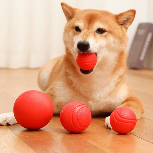 🏐 Découvrez nos balles pour chien ultra-résistantes en TPR. Conçues pour toutes les tailles, elles stimulent votre compagnon et préservent vos meubles !