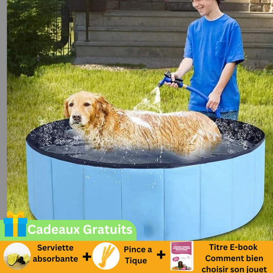 Foldable pet pool™ |Piscine pliable pour animaux