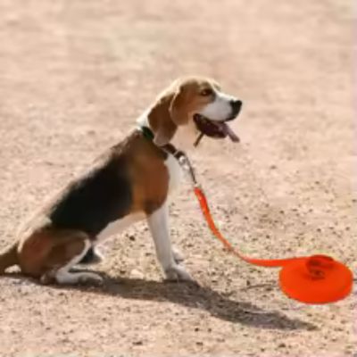 laisse-pour-chien-rouge-imperméable