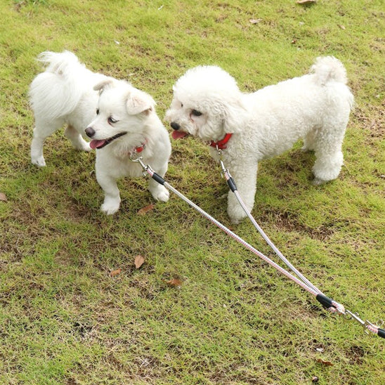  🐶Laisse pour chiens doubles : la solution parfaite pour promener deux chiens Fini les enchevêtrements à gérer plusieurs laisses ! Dans vos promenades 