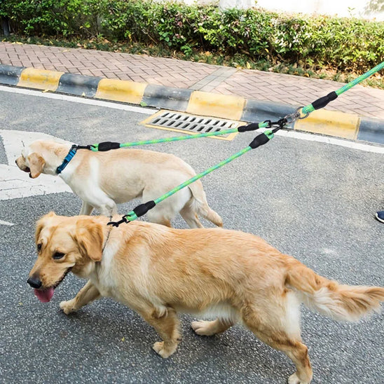 🐶Laisse pour chiens doubles : la solution parfaite pour promener deux chiens Fini les enchevêtrements à gérer plusieurs laisses ! Dans vos promenades 