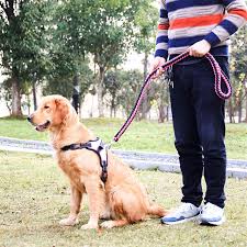🐶Notre laisse pour chiens : L'accessoire qui rendra vos promenades sûres et agréables ! La laisse pour chien est un accessoire essentiel pour tout propriétaire 