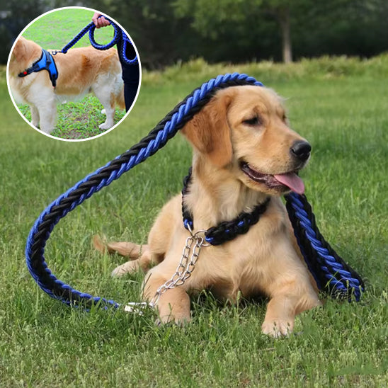 🐶Notre laisse pour chiens : L'accessoire qui rendra vos promenades sûres et agréables ! La laisse pour chien est un accessoire essentiel pour tout propriétaire
