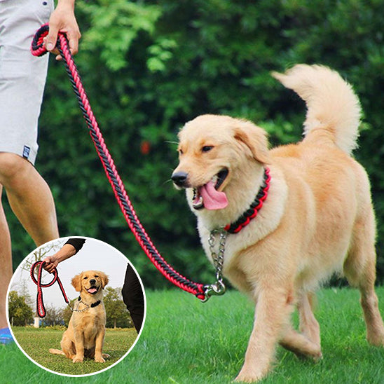 🐶Notre laisse pour chiens : L'accessoire qui rendra vos promenades sûres et agréables ! La laisse pour chien est un accessoire essentiel pour tout propriétaire