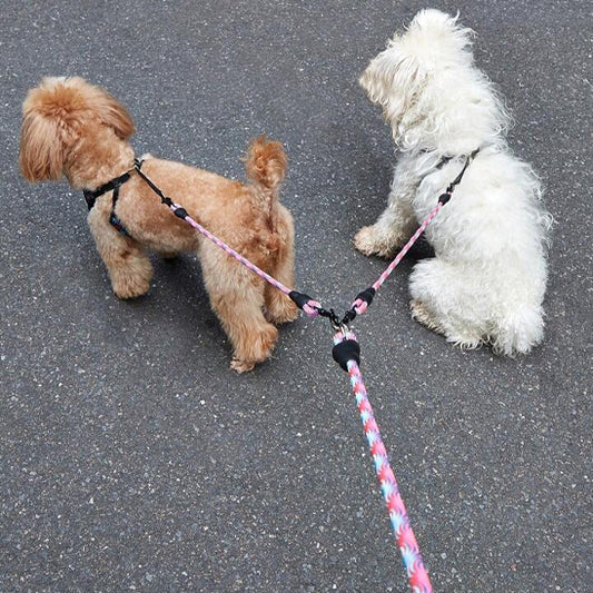  🐶Laisse pour chiens doubles : la solution parfaite pour promener deux chiens Fini les enchevêtrements à gérer plusieurs laisses ! Dans vos promenades 