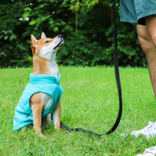 🐕 Protégez votre chien du froid avec notre manteau douillet et pratique. Découvrez un confort optimal pour vos promenades hivernales, peu importe la météo !
