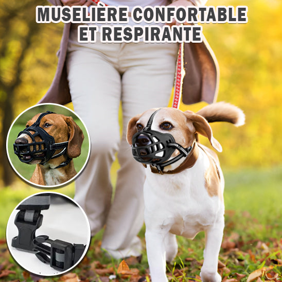  🐕 Découvrez notre muselière pour chien confortable et respirante. Sécurisez vos promenades tout en préservant le bien-être de votre compagnon.  