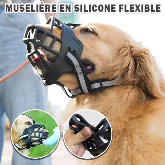  🐕 Découvrez notre muselière pour chien confortable et respirante. Sécurisez vos promenades tout en préservant le bien-être de votre compagnon.  