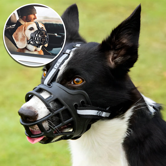 🐕 Découvrez notre muselière pour chien confortable et respirante. Sécurisez vos promenades tout en préservant le bien-être de votre compagnon.  