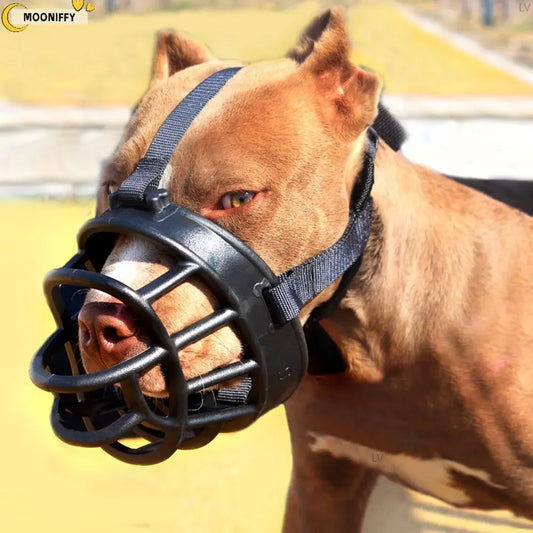  🐕 Découvrez notre muselière pour chien confortable et respirante. Sécurisez vos promenades tout en préservant le bien-être de votre compagnon.  
