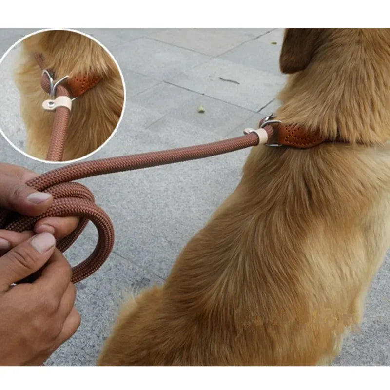 Braided Rope Dog Leash™ | Laisse pour chien en corde coulissante