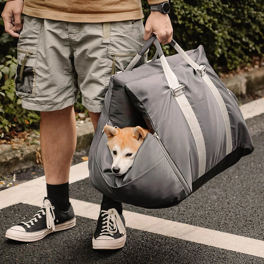 lit-pour-chien-gris-en-sac