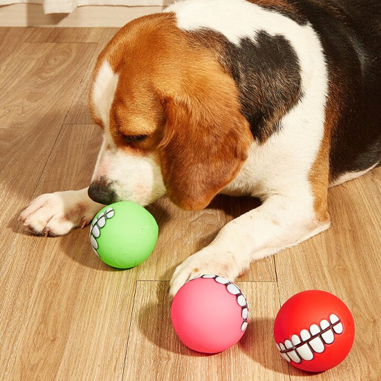 🐶 Découvrez notre balle pour chien rebondissante ultra-résistante ! Jouet indestructible qui flotte, stimule et dure des années. Offrez du plaisir sans limite !