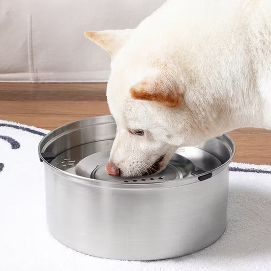 🐶Bol d'alimentation en eau antidérapant pour chiens : hydratation optimale et propreté assurée. La solution idéale pour garder votre chien bien hydraté 