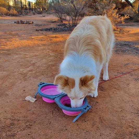 🐕Notre bol double pour chiens jumeaux est fabriqué en silicone de qualité alimentaire et en PP qui Ils sont également conviviaux et résistants aux déchirures.