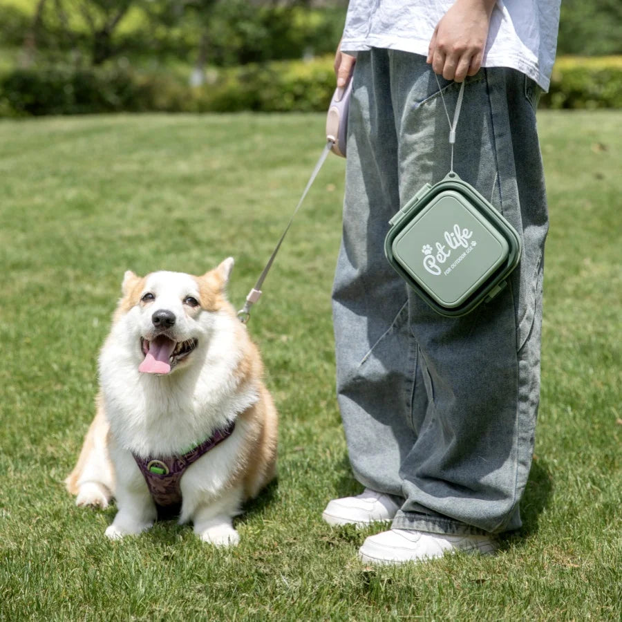🐶Bol double extérieur carré : la solution ultime pour nourrir votre animal en déplacement, idéale pour les propriétaires d'animaux en déplacement et en promenade.  