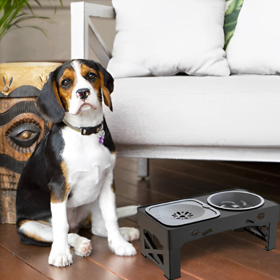 🐕Le bol pour chien Trois est un outil révolutionnaire à tous les stades de sa vie. Ce nouvel article allie   bien-être et confort pour votre animal de compagnie.