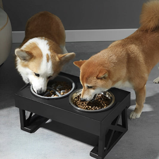 🐶Bol surélevé pour chien : la solution idéale pour la santé de votre compagnon, la solution innovante qui révolutionne les repas de votre fidèle compagnon . 
