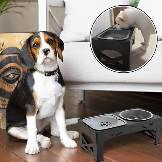 🐕Le bol pour chien Trois est un outil révolutionnaire à tous les stades de sa vie. Ce nouvel article allie   bien-être et confort pour votre animal de compagnie.