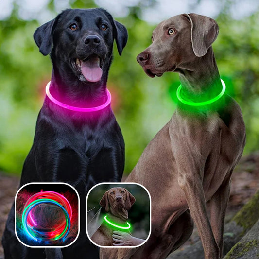 🐕Collier pour chien lumineux USB : sécurité et visibilité, la solution idéale pour assurer la sécurité de votre compagnon à quatre pattes. L'or de votre promenade 