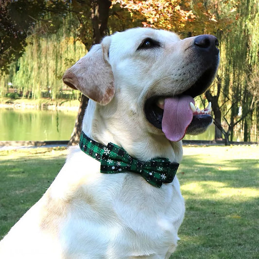 🐶Collier pour chien nœud papillon : élégance pour votre compagnon à quatre pattes, l'accessoire parfait pour allier style et confort pour votre fidèle ami.  