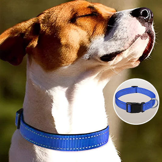  🐕Collier pour chien : sécurité et style, l'accessoire indispensable pour assurer la sécurité de votre compagnon à quatre pattes lors de vos sorties nocturnes. 