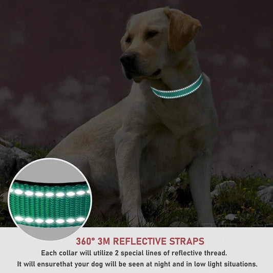 🐶Collier pour chien : sécurité et style pour vos promenades nocturnes.  L'accessoire indispensable pour assurer la sécurité de votre compagnon lors de vos sorties  