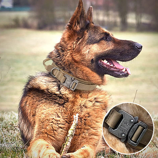 🐕Le Collier pour Chien Tactique: Confort et Sécurité pour Votre Fidèle Compagnon   Découvrez notre collier pour chien tactique, la solution idéale pour les propriétaires de chiens exigeants.  