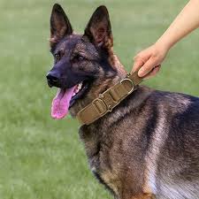 🐕Le Collier pour Chien Tactique: Confort et Sécurité pour Votre Fidèle Compagnon   Découvrez notre collier pour chien tactique, la solution idéale pour les propriétaires de chiens exigeants.  