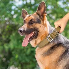 🐕Le Collier pour Chien Tactique: Confort et Sécurité pour Votre Fidèle Compagnon   Découvrez notre collier pour chien tactique, la solution idéale pour les propriétaires de chiens exigeants.  
