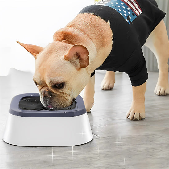  🐕 Notre Bol d'eau :  conçu pour résoudre les problèmes d'éclaboussures et garantir une hydratation optimale de votre compagnon à quatre pattes. 