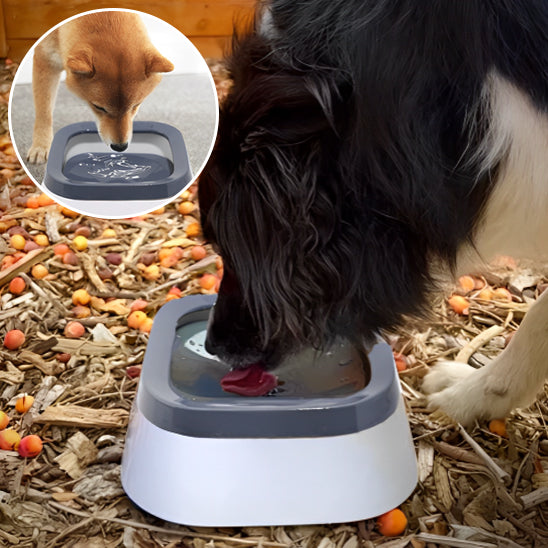  🐕 Notre Bol d'eau :  conçu pour résoudre les problèmes d'éclaboussures et garantir une hydratation optimale de votre compagnon à quatre pattes. 