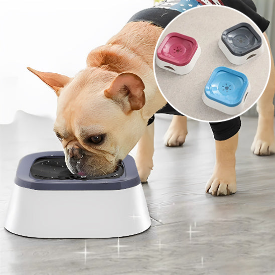  🐕 Notre Bol d'eau :  conçu pour résoudre les problèmes d'éclaboussures et garantir une hydratation optimale de votre compagnon à quatre pattes. 