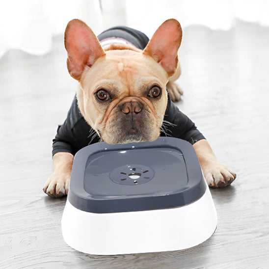 🐕 Notre Bol d'eau :  conçu pour résoudre les problèmes d'éclaboussures et garantir une hydratation optimale de votre compagnon à quatre pattes.  gamelle-heureux-anti-eclaboussures