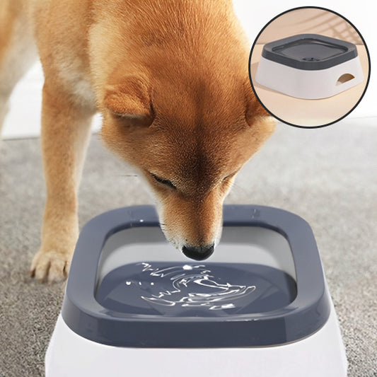  🐕 Notre Bol d'eau :  conçu pour résoudre les problèmes d'éclaboussures et garantir une hydratation optimale de votre compagnon à quatre pattes. 
