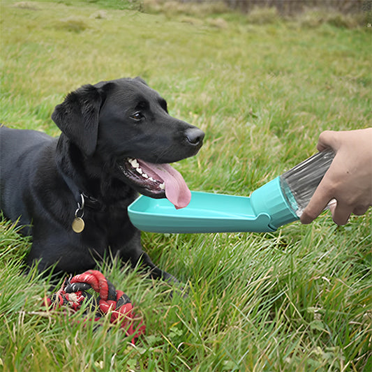 🐶La Gourde pour chien plein air : l'accessoire indispensable et incontournable pour tous les propriétaires soucieux du bien-être de leur compagnon à quatre pattes.  