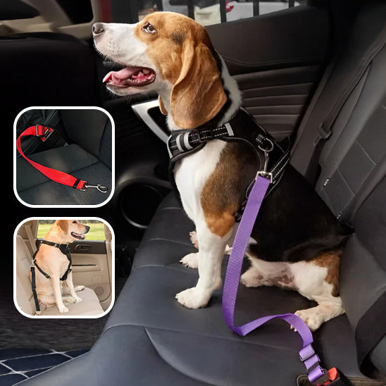 Ceinture de sécurité pour chien - mauve - Adjustable Dog Car Seat Belt