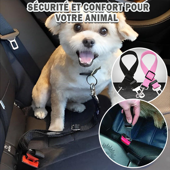 Ceinture de sécurité pour chien – noir – Adjustable Dog Car Seat Belt  