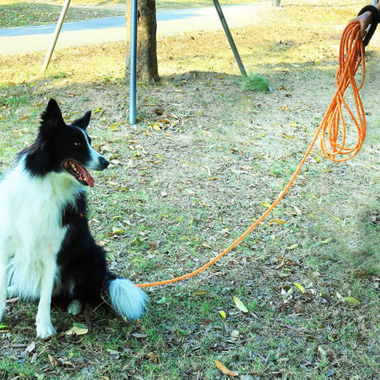 🐕Laisse pour chien idéale : confort, contrôle et liberté   Découvrez notre laisse pour chien conçue pour offrir une expérience de promenade incomparable.  