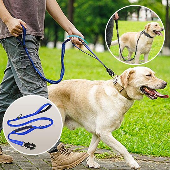 🐕 Découvrez notre laisse pour chien robuste avec double poignée rembourrée. Transformez vos promenades en moments sereins, même dans l'obscurité !