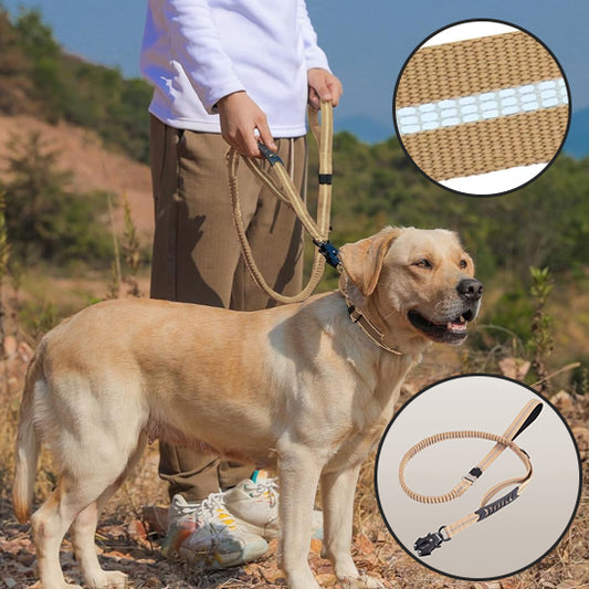 🐕 Découvrez notre laisse pour chien robuste avec double poignée rembourrée. Transformez vos promenades en moments sereins, même dans l'obscurité !
