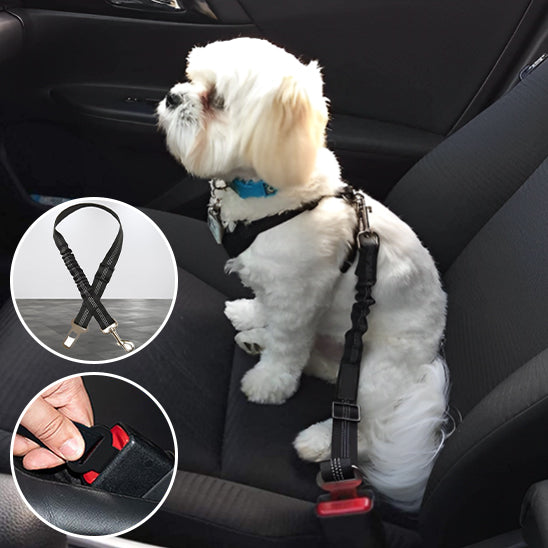  🐕 Découvrez notre laisse pour chien réglable qui protège votre compagnon lors des trajets en voiture. Commandez maintenant et voyagez en toute sécurité !