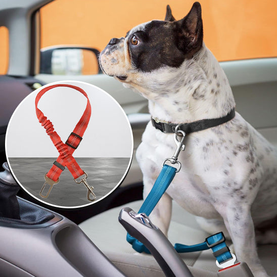 🐕 Découvrez notre laisse pour chien réglable qui protège votre compagnon lors des trajets en voiture. Commandez maintenant et voyagez en toute sécurité !