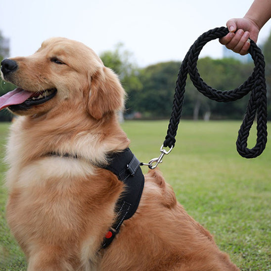 🐶Notre laisse pour chiens : L'accessoire qui rendra vos promenades sûres et agréables ! La laisse pour chien est un accessoire essentiel pour tout propriétaire