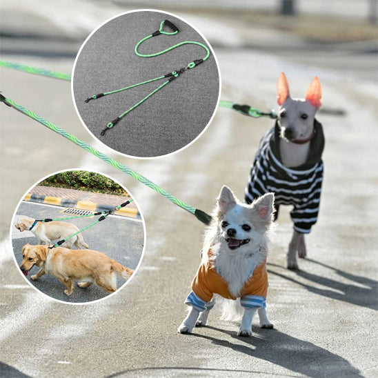 🐶Laisse pour chiens doubles : la solution parfaite pour promener deux chiens Fini les enchevêtrements à gérer plusieurs laisses ! Dans vos promenades 