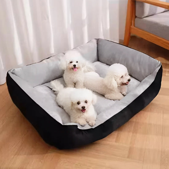  🐾 Offrez à votre fidèle compagnon un lit pour chien alliant confort suprême et style. Découvrez notre gamme adaptée à toutes les tailles, lavable et durable !