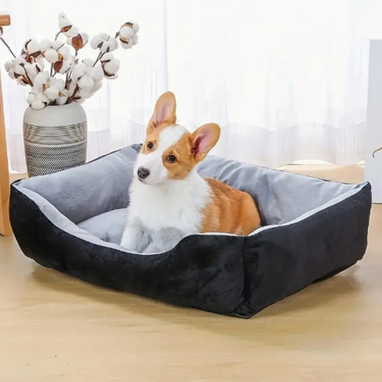🐾 Offrez à votre fidèle compagnon un lit pour chien alliant confort suprême et style. Découvrez notre gamme adaptée à toutes les tailles, lavable et durable ! 