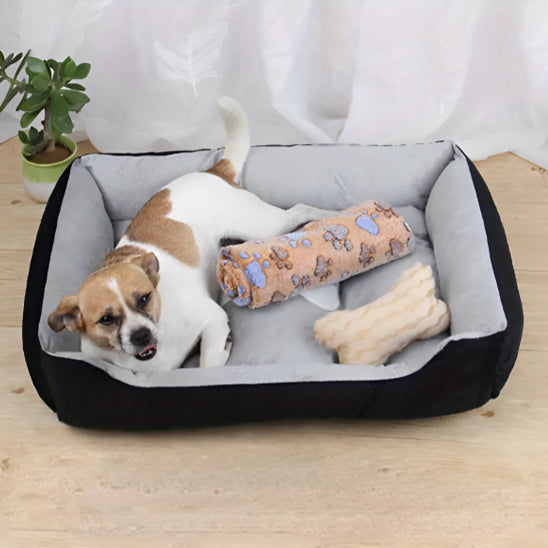  🐾 Offrez à votre fidèle compagnon un lit pour chien alliant confort suprême et style. Découvrez notre gamme adaptée à toutes les tailles, lavable et durable !